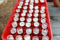 bafb5069-5ee3-4298-a2c1-355f674a3b53