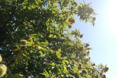 WhatsApp Image 2019-10-13 at 19.47.50