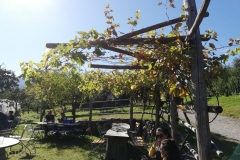 WhatsApp Image 2019-10-13 at 19.47.51 (1)