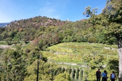 WhatsApp Image 2019-10-13 at 19.47.51 (2)