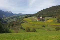 WhatsApp Image 2019-10-14 at 22.49.49