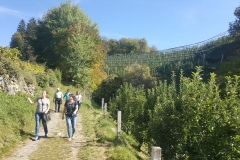 WhatsApp Image 2019-10-14 at 22.49.56 (1)